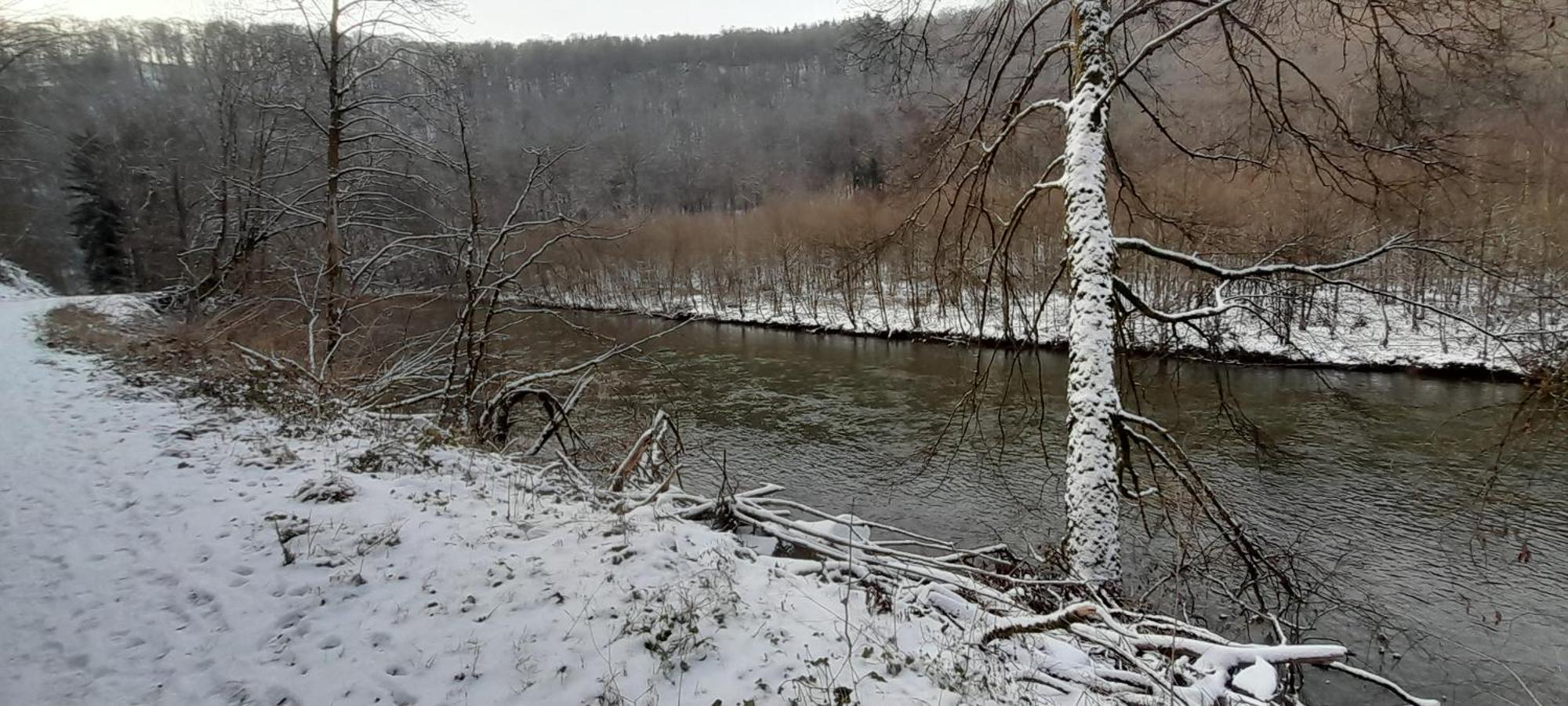 Le Sentier Des Lavandes Vresse-sur-Semois Exterior foto